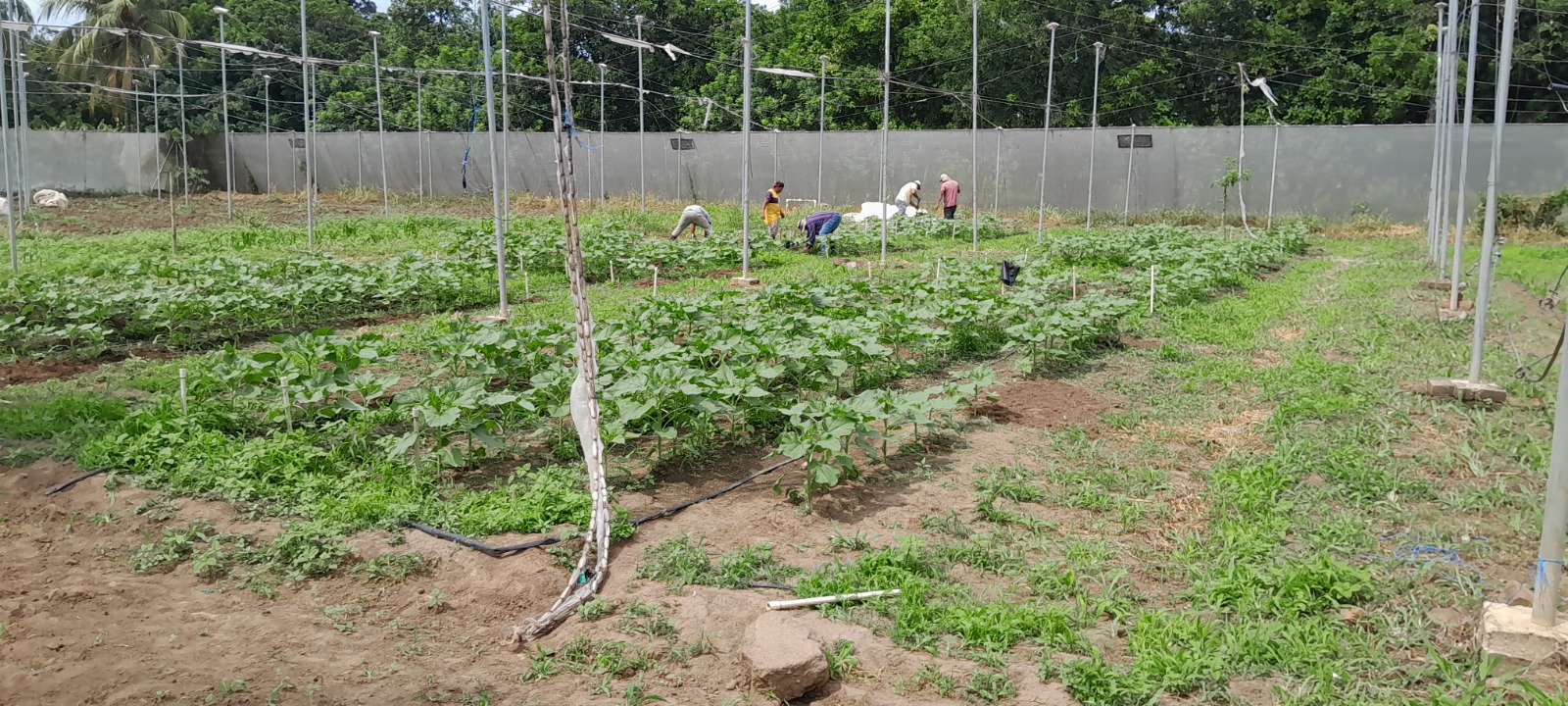 Proyecto Belén foto 1